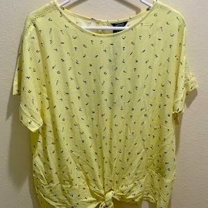 Top by Buffalo - David Bitton